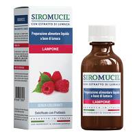 SIROMUCIL C/ESTR LUMACA LAMP